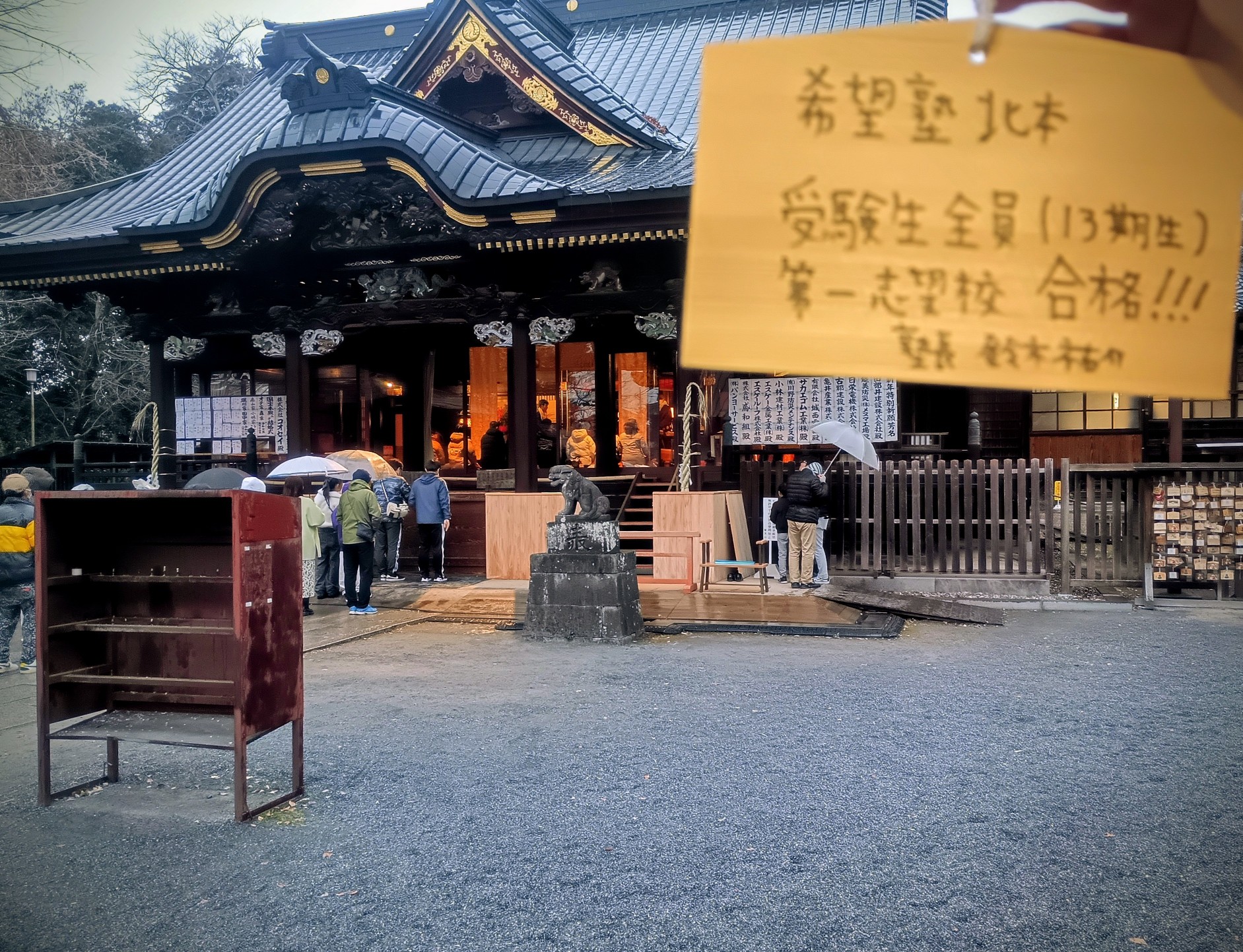 ��ʵ��ꣲ������